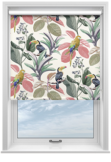 Parakeet, Fruit Punch - Roller Blind